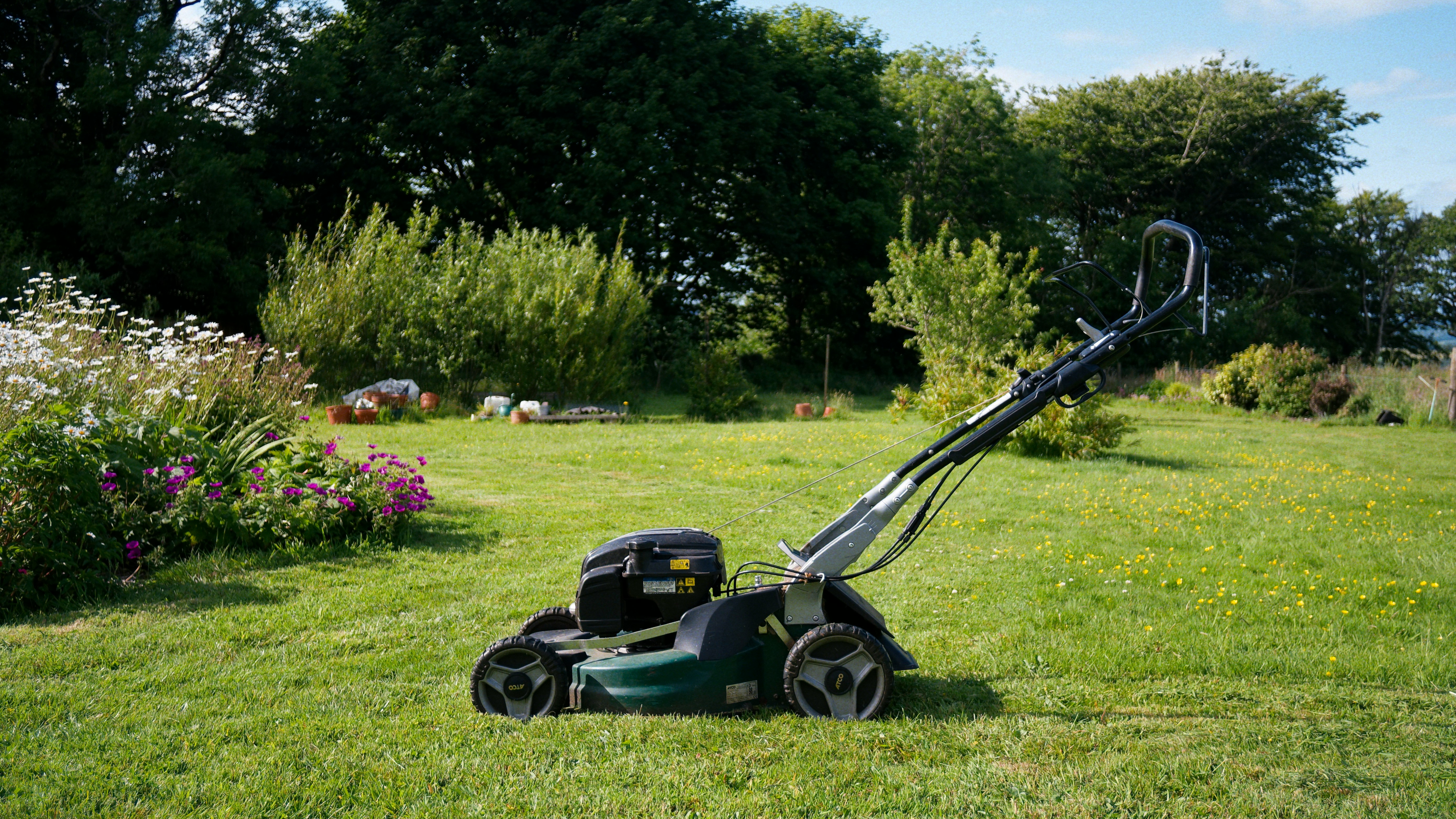 Seasonal lawn care maintenance showing healthy grass growth