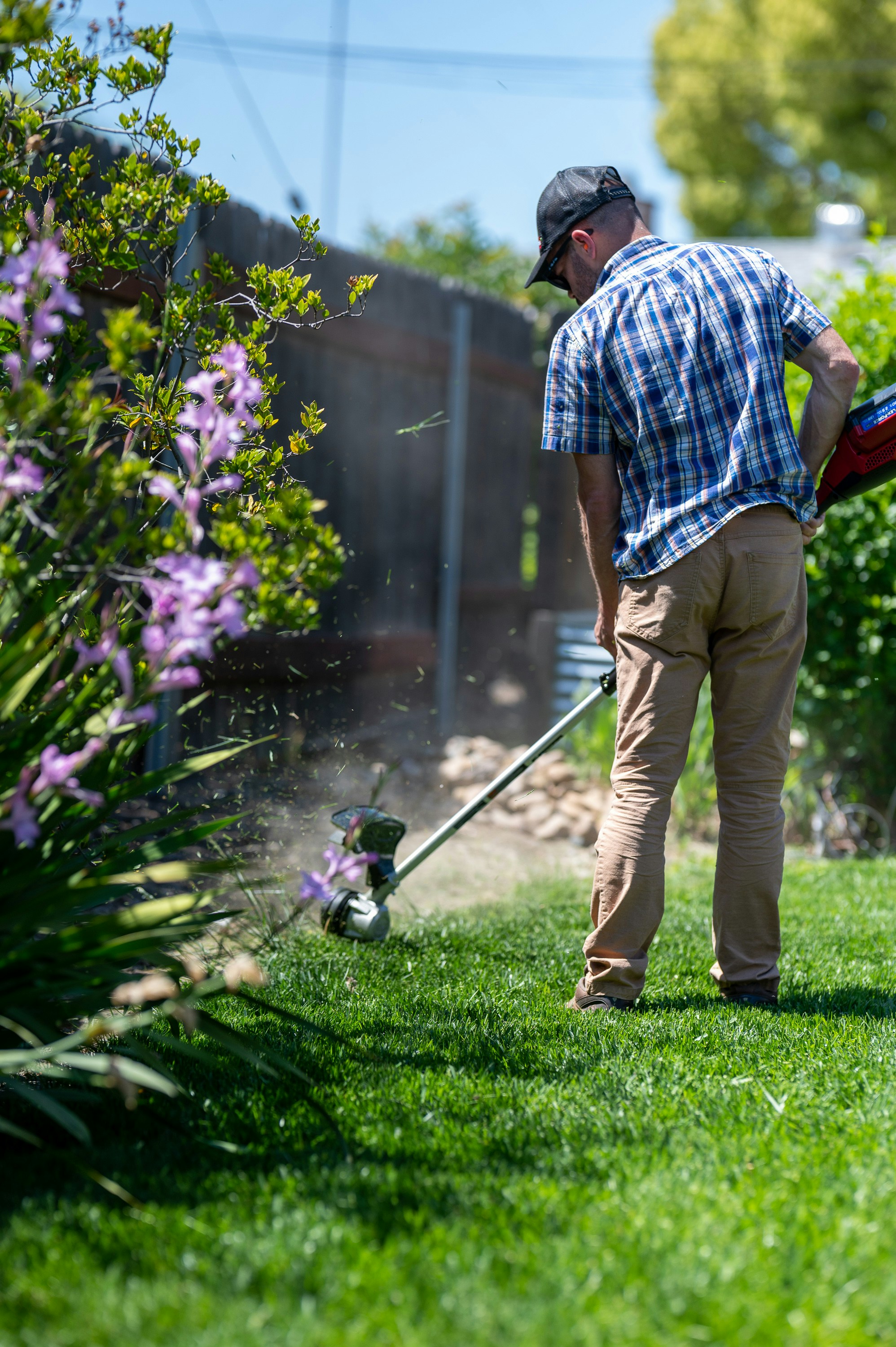 Beautiful landscaped garden with professional lawn care maintenance